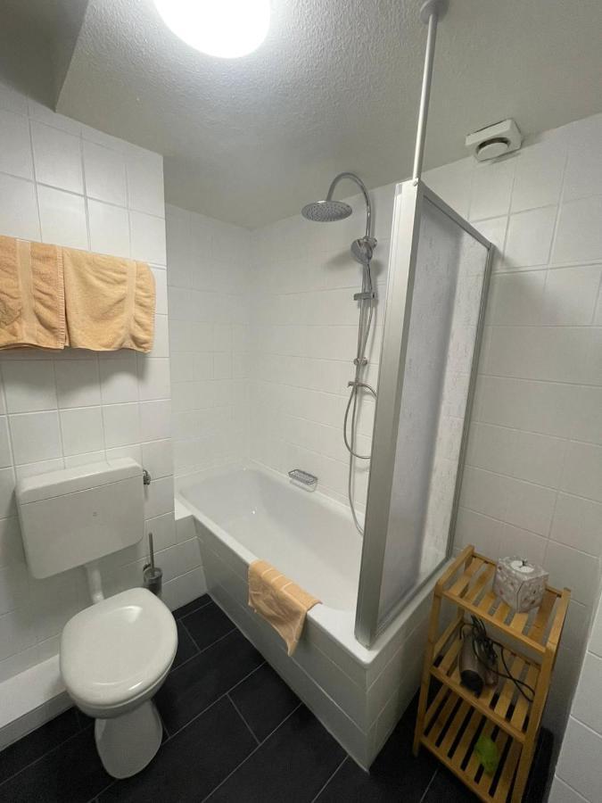 Manu'S Appartements ゴスラー エクステリア 写真