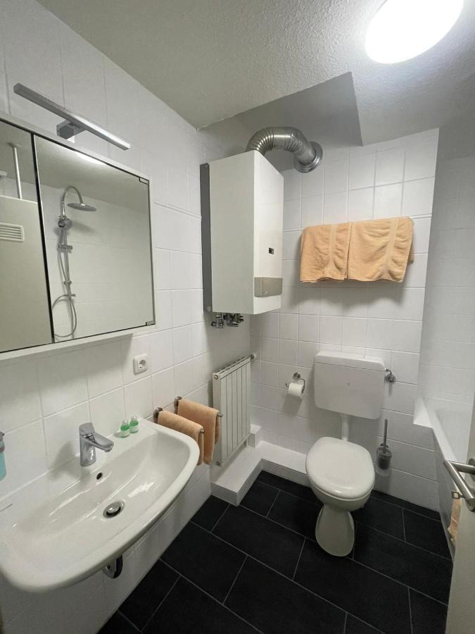 Manu'S Appartements ゴスラー エクステリア 写真